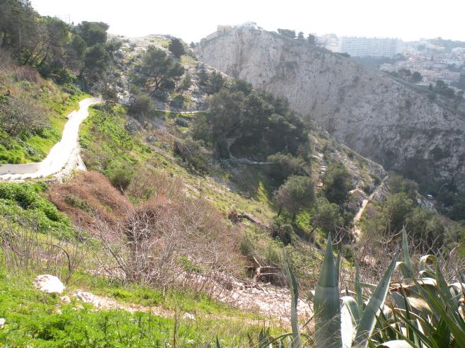  coin sauvage, colline de Notre-Dame